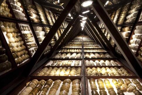 Naturhistorisk Museum har brug for hjælp