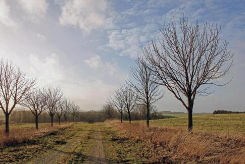 Vestbyens Fotogruppe udstiller billeder i Sund By