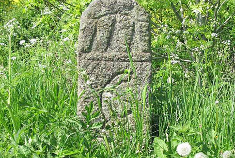 Efterlysning af fredet vildtbanesten