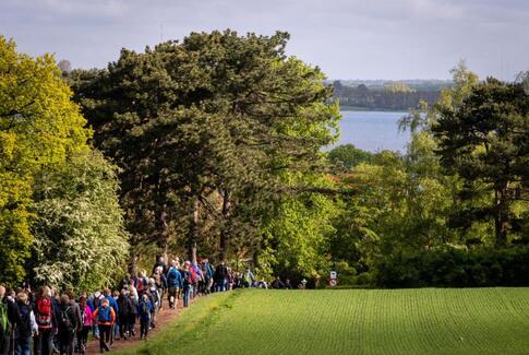 Uge 41 er gå-uge – også i Østbirk