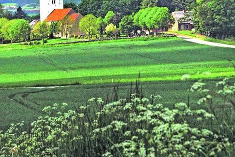 Friluftgudstjeneste Yding Kirkegård