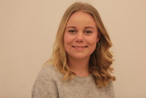 Tomlen ned til sofavælgere